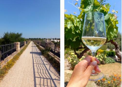 Camminata serale con...calice di vino🌳🍷