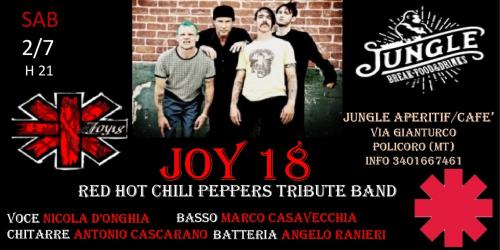 Joy 18 Red Hot Chili Peppers Tribute Band live @Jungle Cafè