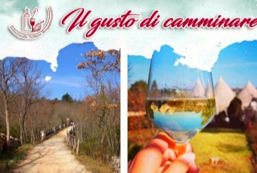 Il gusto di camminare tra ulivi, ponti, muretti a secco con...calice di vino🌳🍷