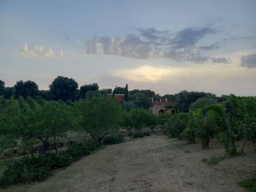 WineSunset tasting