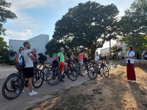 Ciclo Experience