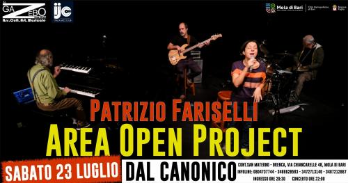 Patrizio Fariselli AREA OPEN PROJECT