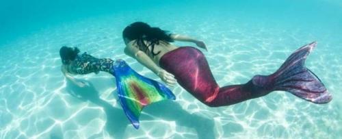 Contro la plastica "in fondo al mar" a  Zoomarine arrivano Sirene e Tritoni, insieme ai laboratori marini della Federazione Italiana Sport Acquatici