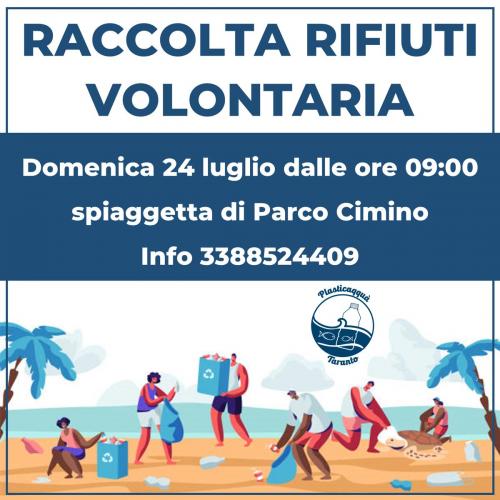 Raccolta rifiuti volontaria