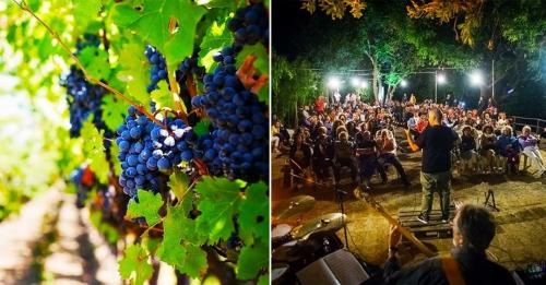 Jazz in Vigna: Musica, Cibo e Vino nei Vigneti dei Campi Flegrei
