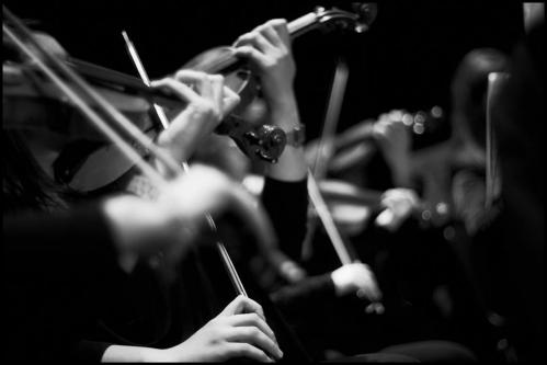 Concerto del Quartetto d'archi Talos