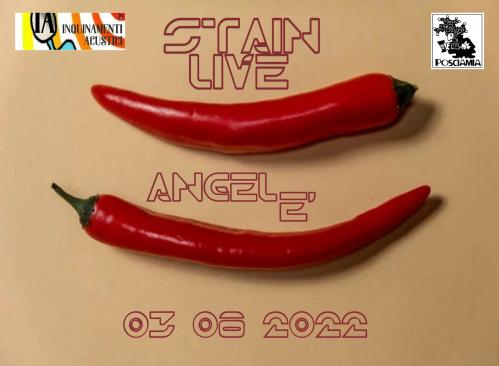 STAIN live