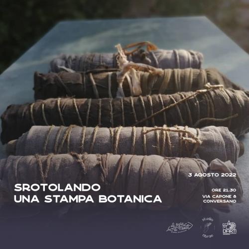 Srotolando una stampa botanica