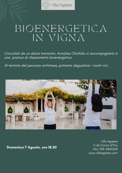 Bioenergetica in vigna.