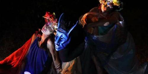 Sogno d'estate da W. Shakespeare