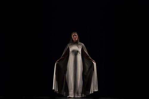 "Il ratto di Proserpina"