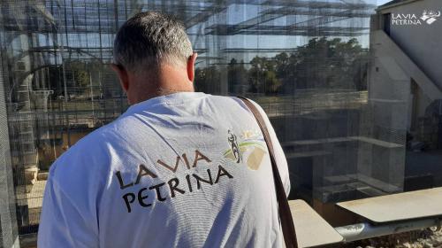LA VIA PETRINA. Il Cammino di Pietro a Taranto. TOUR