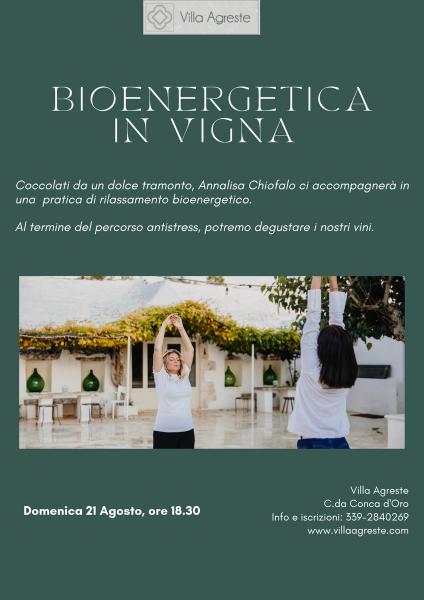 Bioenergetica in vigna