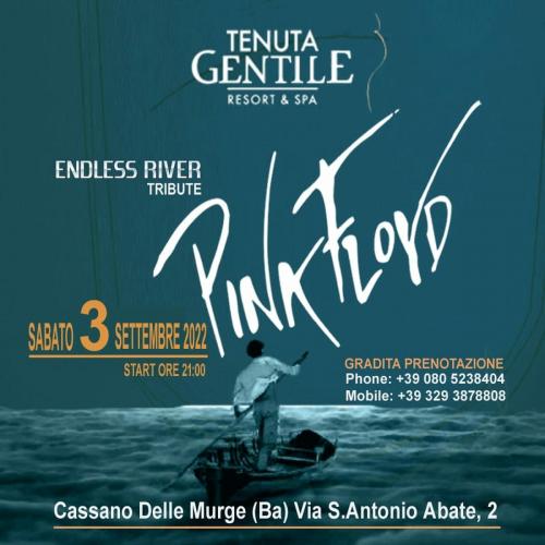Endless River - Tribute Pink Floyd