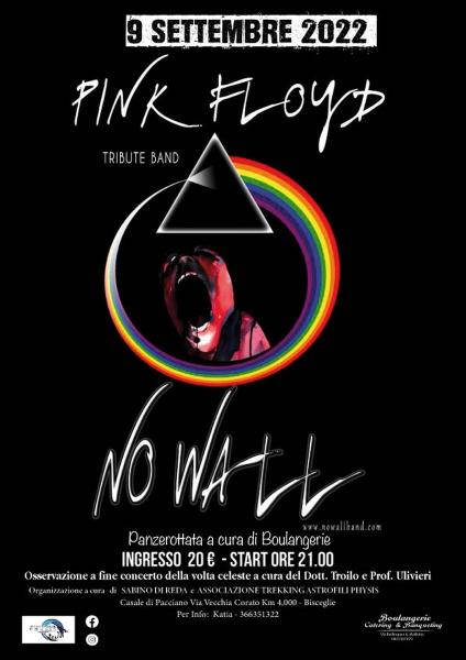 No Wall Pink Floyd Tribute Band LIVE