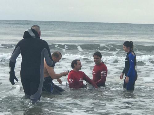 Corso di primo soccorso per delfini spiaggiati o a rischio spiaggiamento