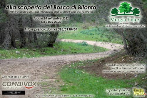 Alla scoperta del Bosco di Bitonto