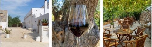 Il vino...come si degusta?🍷