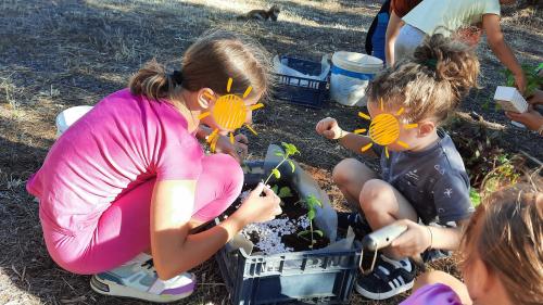 Orto in cassetta per bambine e bambini