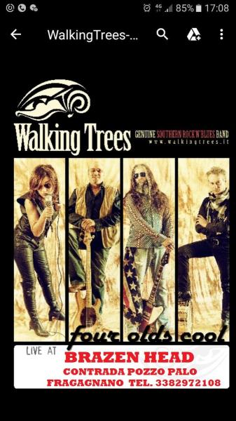 Serata blues al Brazen Head con i Walking Trees