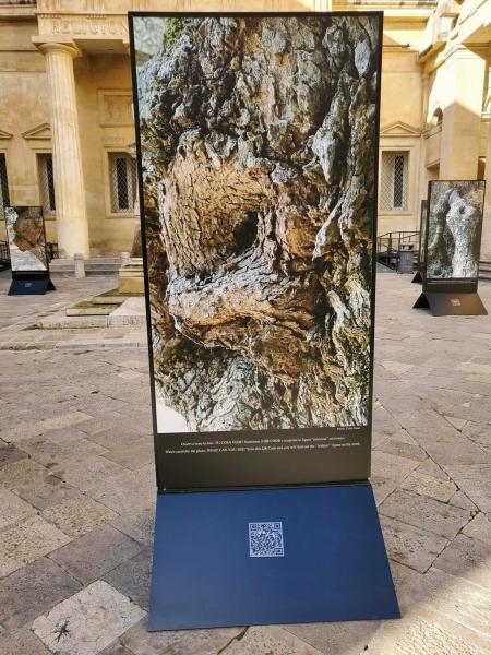 Pareidolìa: guardare oltre ciò che appare’