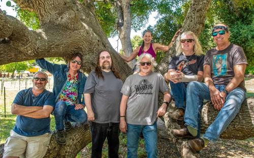 Grateful Dead, al Puccini di Firenze il concerto celebrativo