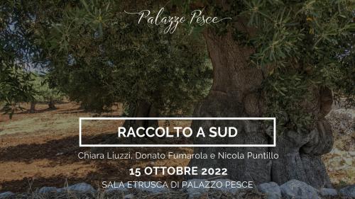 Raccolto a sud [Terra di Bari e la Valle D’Itria]