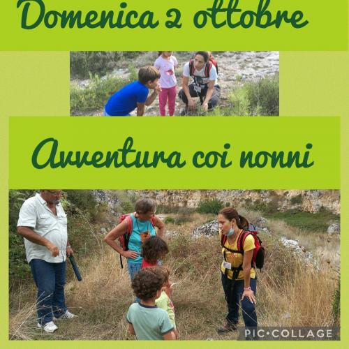 Avventura coi nonni