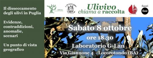Presentazione del libro "Il disseccamento degli ulivi in Puglia. Evidenze, contraddizioni, anomalie"