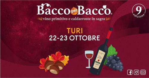 BACCO PER BACCO vino primitivo e caldarroste in sagra