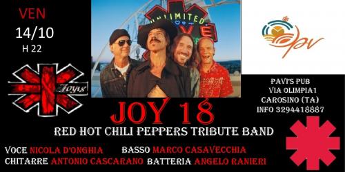 Joy 18 Red Hot Chili Peppers Tribute Band live @Pavi's Pub