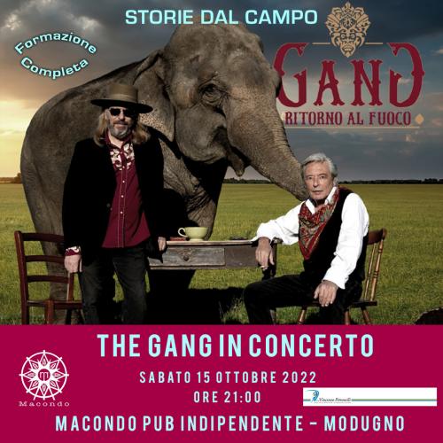 THE GANG in concerto