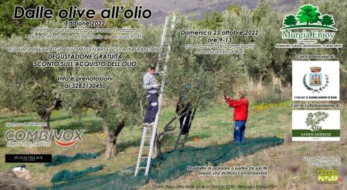 Dalle olive all'olio - Ediz. 2022 a Sannicandro di Bari