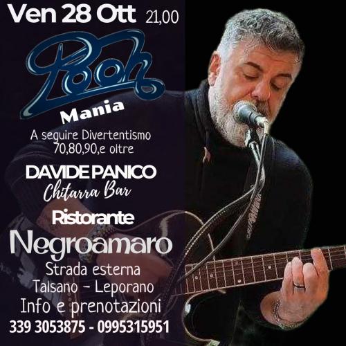 Omaggio ai Pooh con Davide Panico