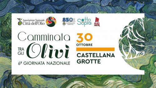 Camminata tra gli Olivi