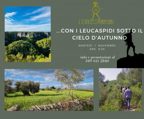 ...con i Leucaspidi sotto il cielo d'Autunno