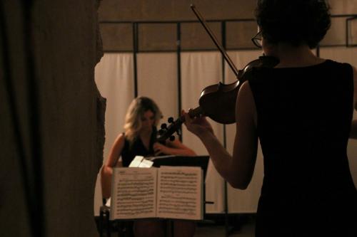 Concerto d'archi in pinacoteca