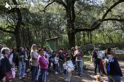Sulle tracce degli abitanti del bosco