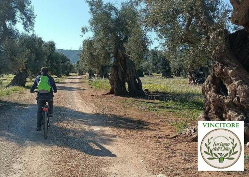 Ciclotrekking tra i verdi patriarchi di Puglia