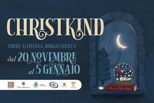 Geminidi: lettura e osservazione delle stelle cadenti d'inverno