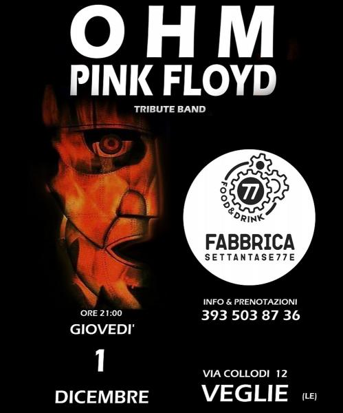 OHM PINK FLOYD live PUB