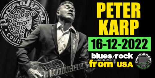 PETER KARP live show