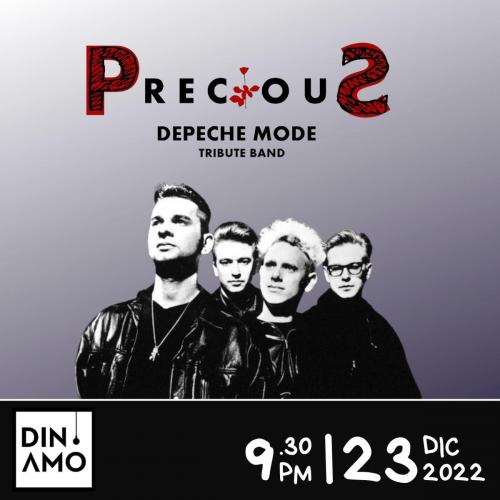PRECIOUS - Depeche Mode Tribute Acoustic Session Live