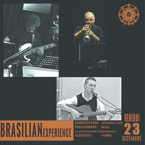 Brasilian Experience