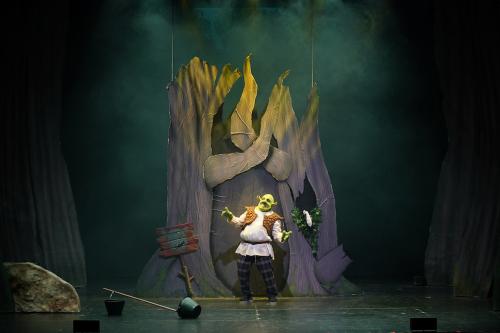 Shrek Il Musical live a Bari