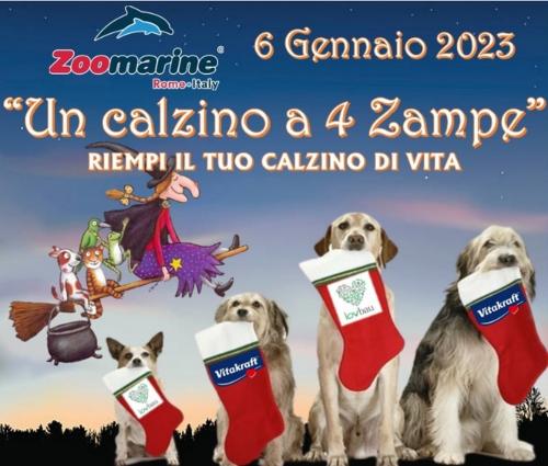 Arriva “Un Calzino a 4 zampe”