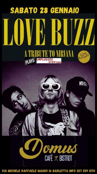 Love Buzz - A Tribute to Nirvana plays Unplugged in New York