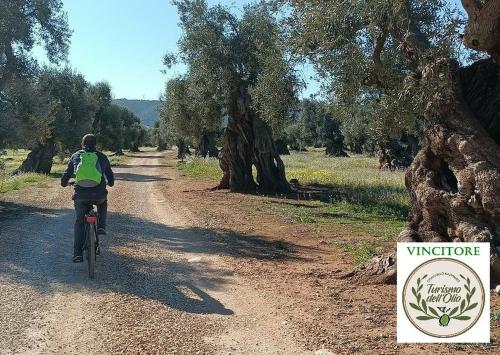 Ciclotrekking tra i verdi patriarchi di Puglia