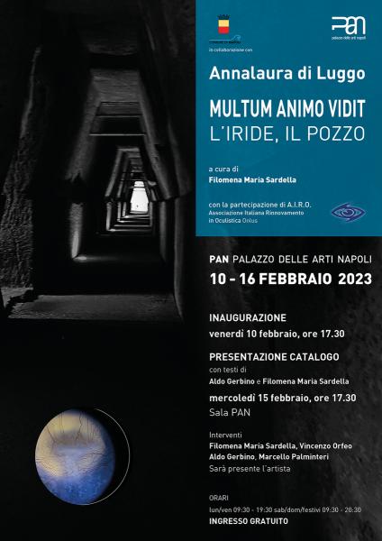 Annalaura di Luggo. Multum Animo Vidit. L’iride, il pozzo