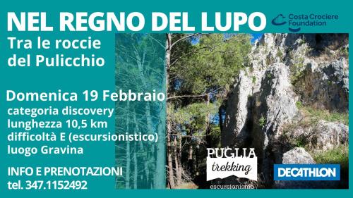 IL REGNO DEL LUPO Tra le rocce del Pulicchio